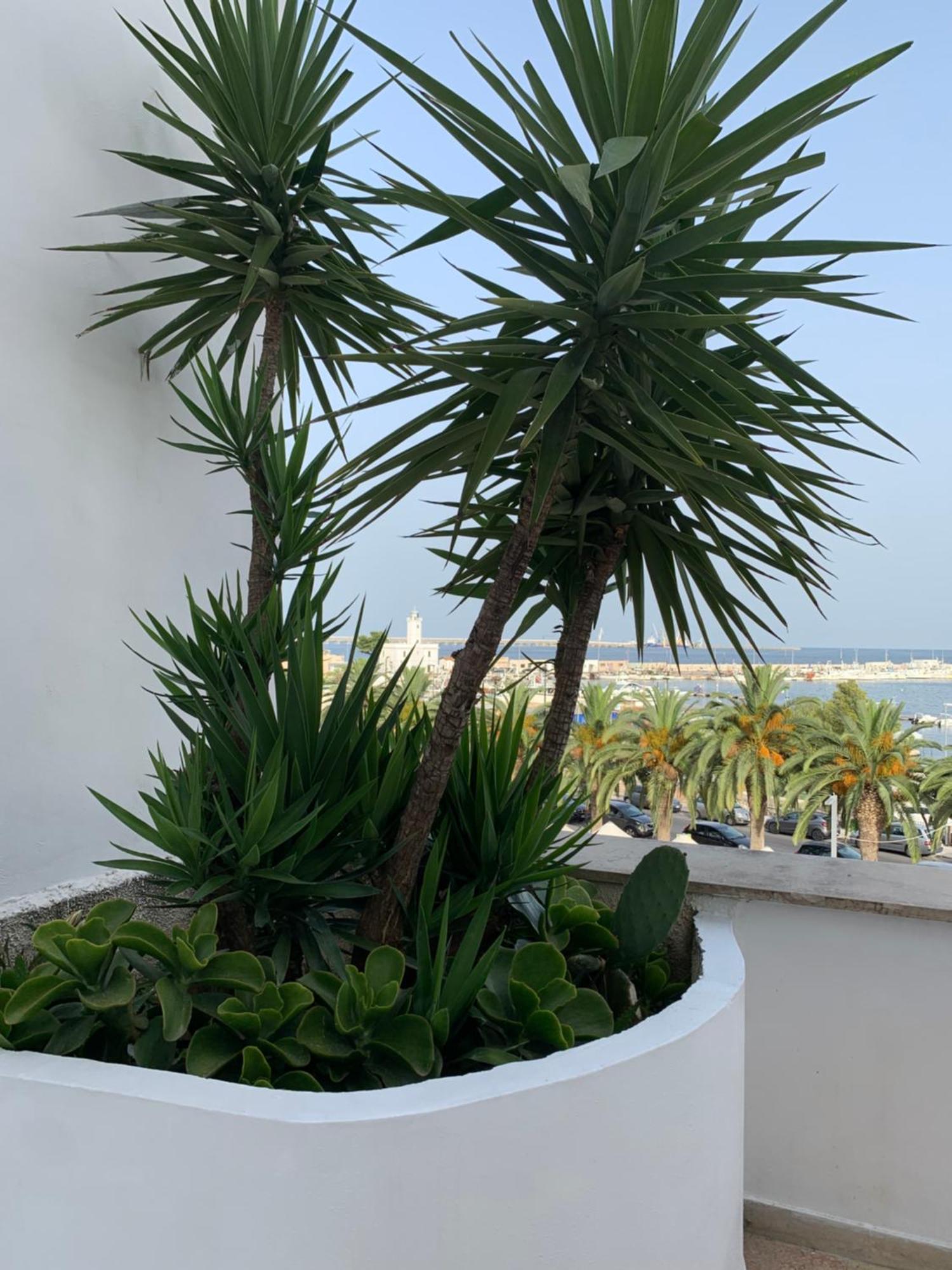 Terrazza Diomede- Manfredi Homes & Villas マンフレドーニア エクステリア 写真